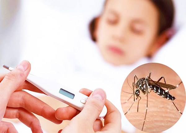 Tăng cường phòng chống sốt xuất huyết Dengue ở Việt Nam