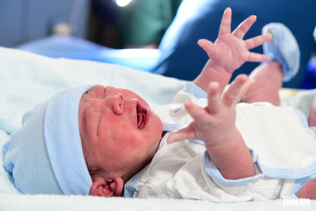 Bé Linh Đan – công dân ra đời lúc 0h ngày 1/1/2024