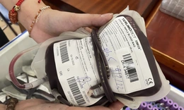 Kho ‘thuốc đỏ’ thiếu 10.000 đơn vị máu dự trữ cho điều trị dịp Tết Giáp Thìn