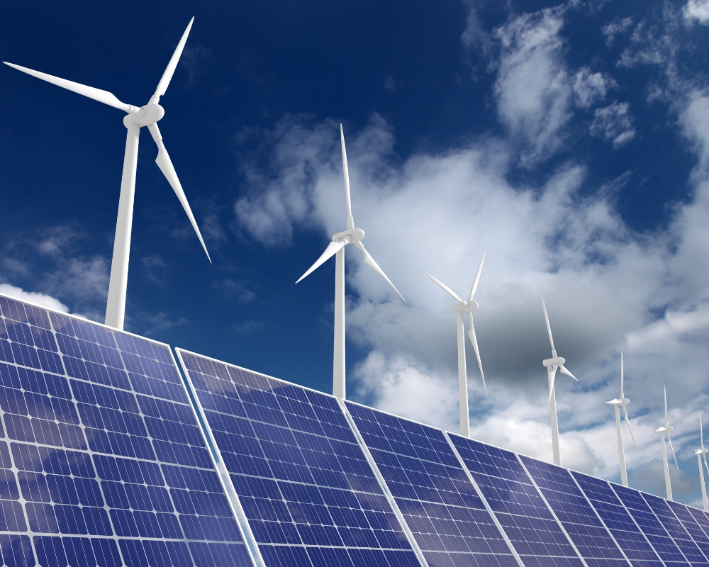 5 cách để sống ‘xanh’ hơn trong năm 2024