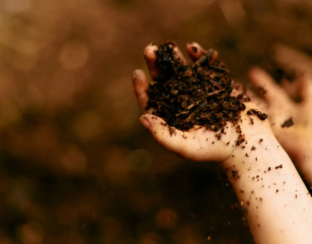 Một chút bụi bẩn đôi khi lại tốt cho bạn