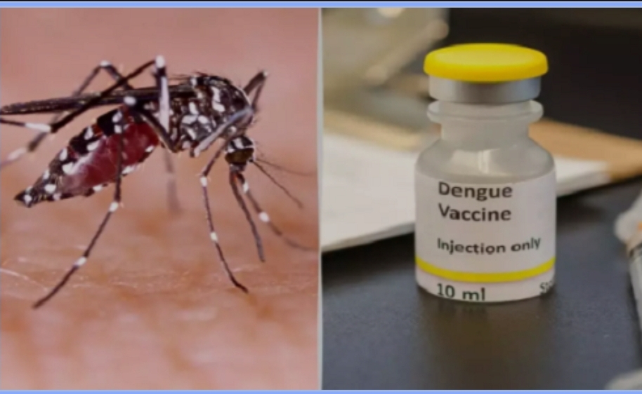 Vắc xin phòng sốt xuất huyết được Bộ Y tế cấp phép có hiệu quả như thế nào?