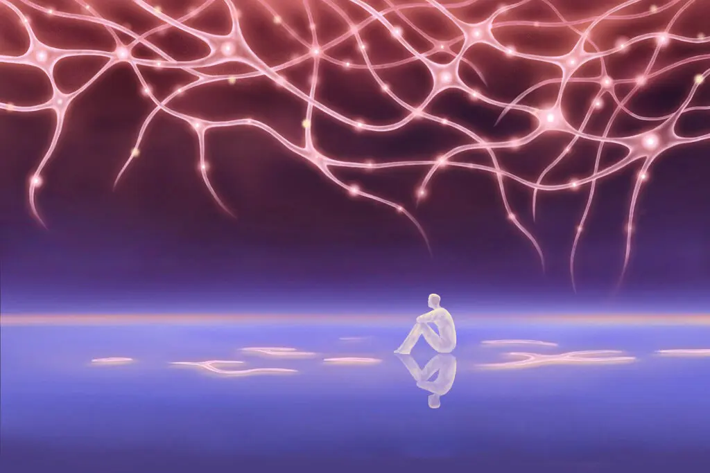 Một bộ não cô đơn trông như thế nào?