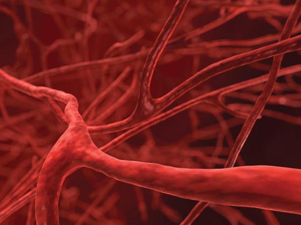 Giảm chỉ số đường huyết, mỡ máu nhờ ‘bí kíp làm sạch’ mạch máu đơn giản