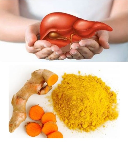 Tác động tiềm tàng của nghệ đến gan