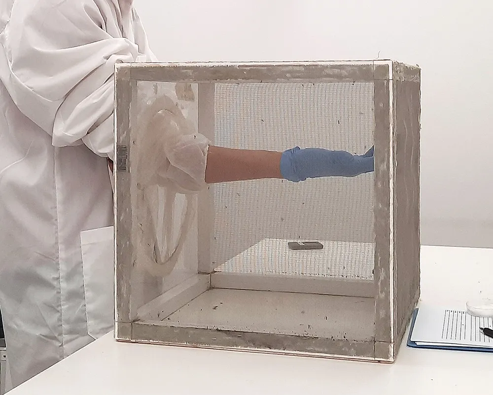 Thành tựu mới trong “cuộc chiến” phòng, chống bệnh sốt xuất huyết