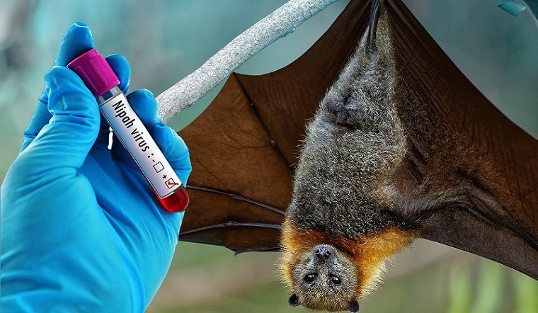 Virus Nipah đe dọa Ấn Độ sau cái chết của một thiếu niên