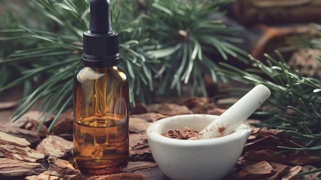 Công dụng tuyệt vời của tinh dầu thông đỏ với sức khoẻ