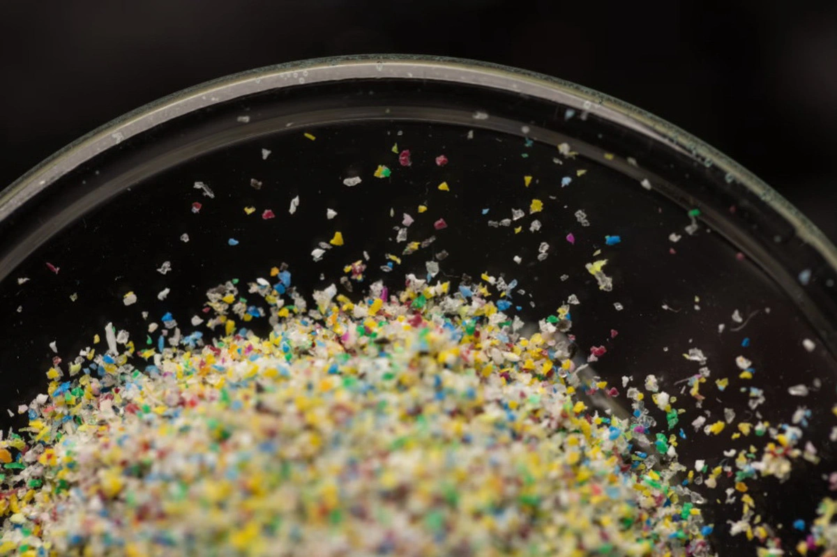 Não người giờ đã “pha trộn” 0,5% vi nhựa