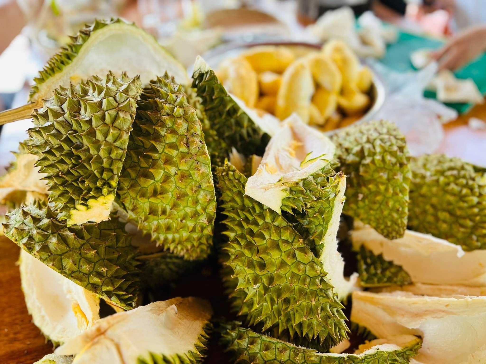 Vỏ sầu riêng có thể chế biến món ăn và là vị thuốc nhiều công dụng