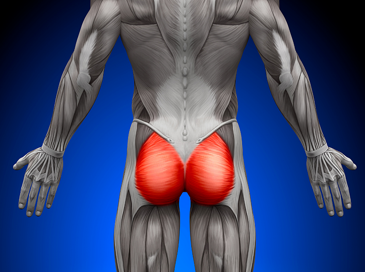 Hội chứng ‘mông chết’ ở dân văn phòng