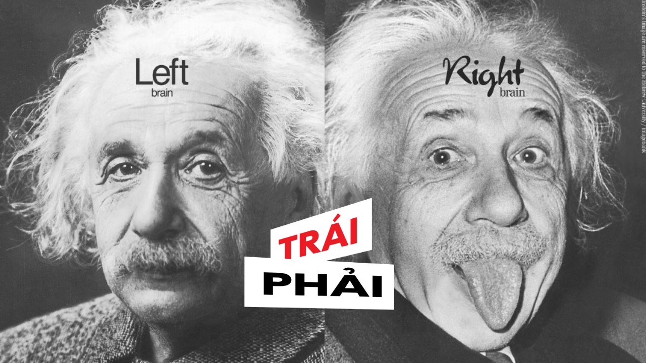Trái hay phải [Kỳ 1]: Bạn là người thuận não trái hay não phải?