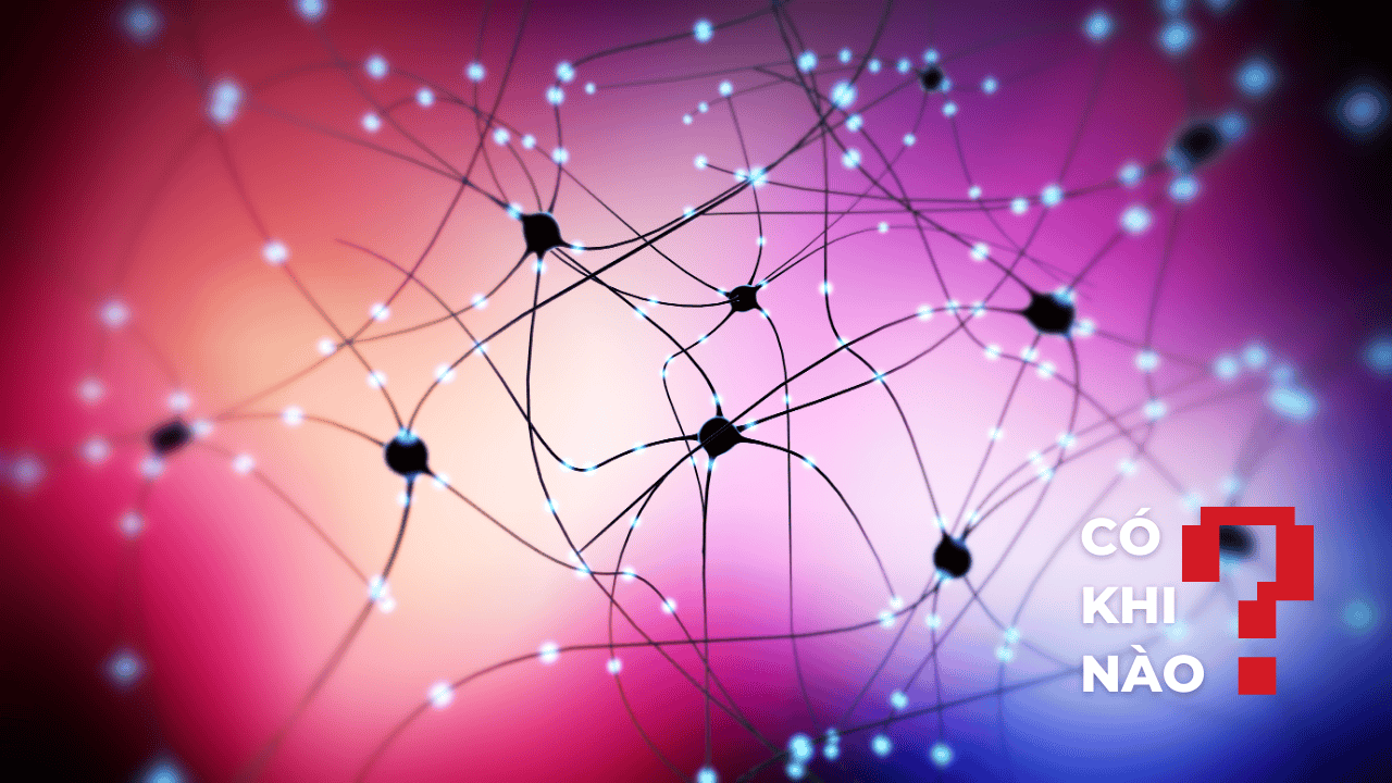 Có khi nào: Lãng quên là một lợi thế tiến hóa?