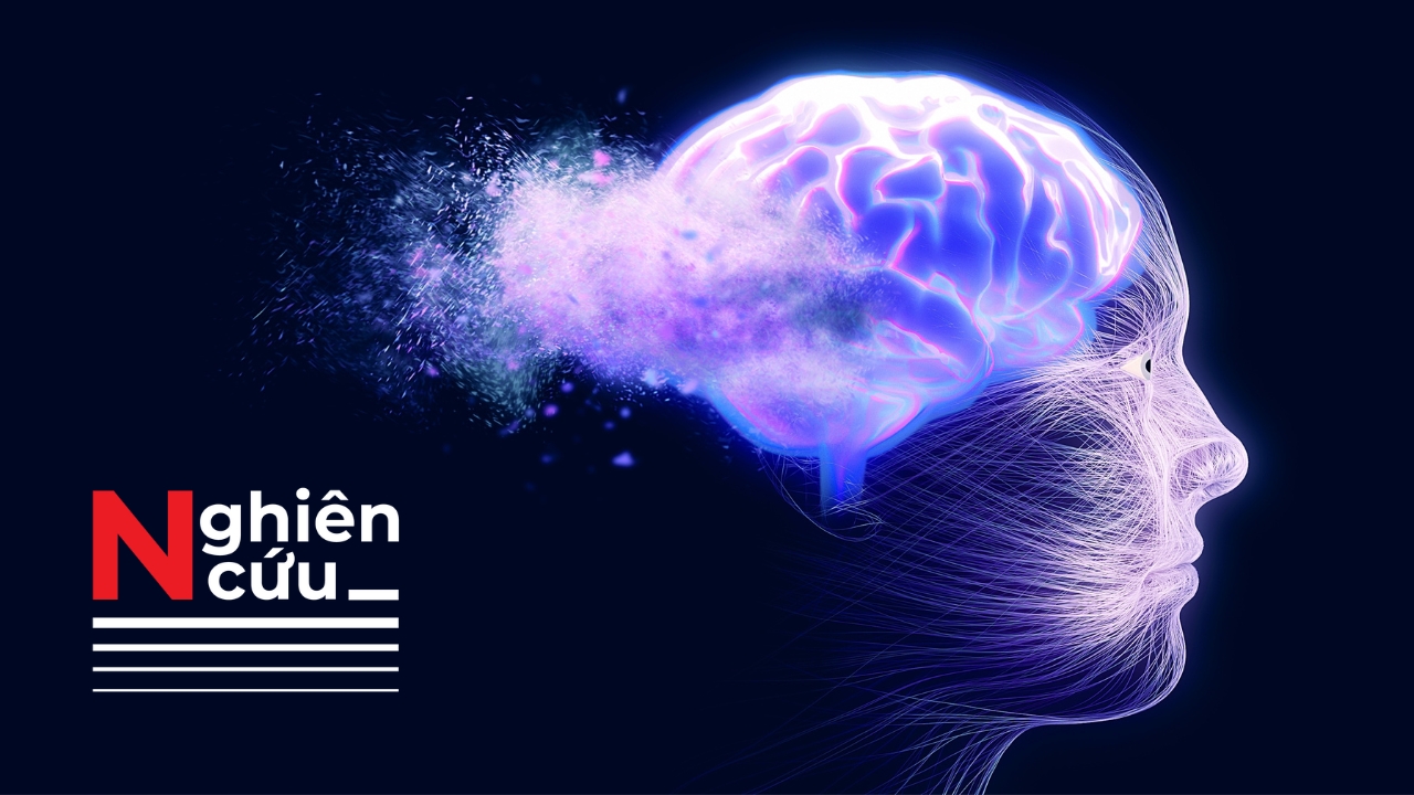 Tại sao sự lão hóa ở não bộ có thể khác nhau đáng kể giữa mỗi người?