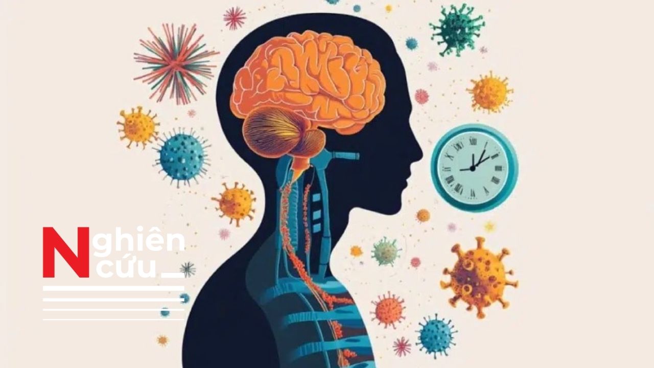 Nghiên cứu mới phát hiện hệ vi khuẩn đường ruột cũng có thể điều chỉnh mức độ căng thẳng