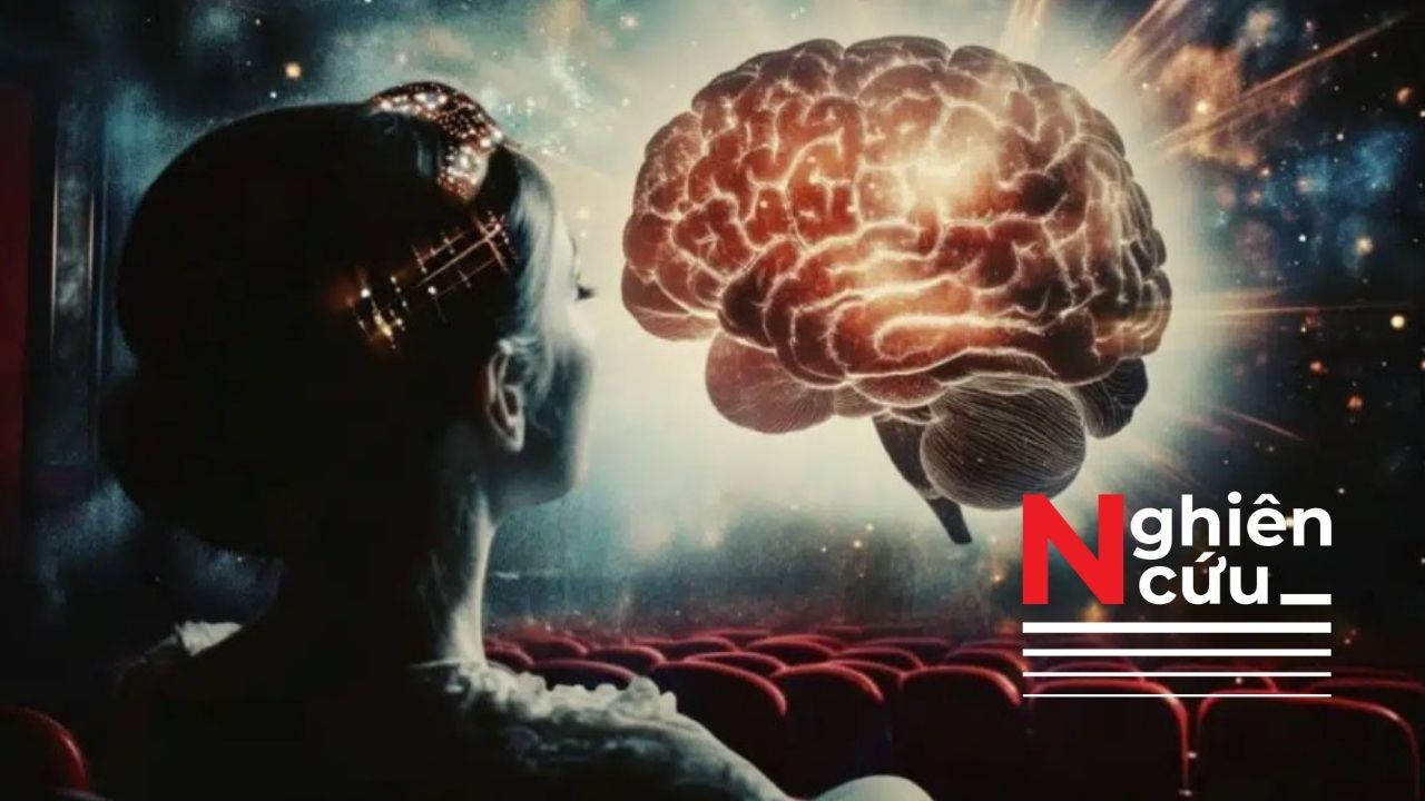 Não bộ phản ứng thế nào khi chúng ta xem phim?