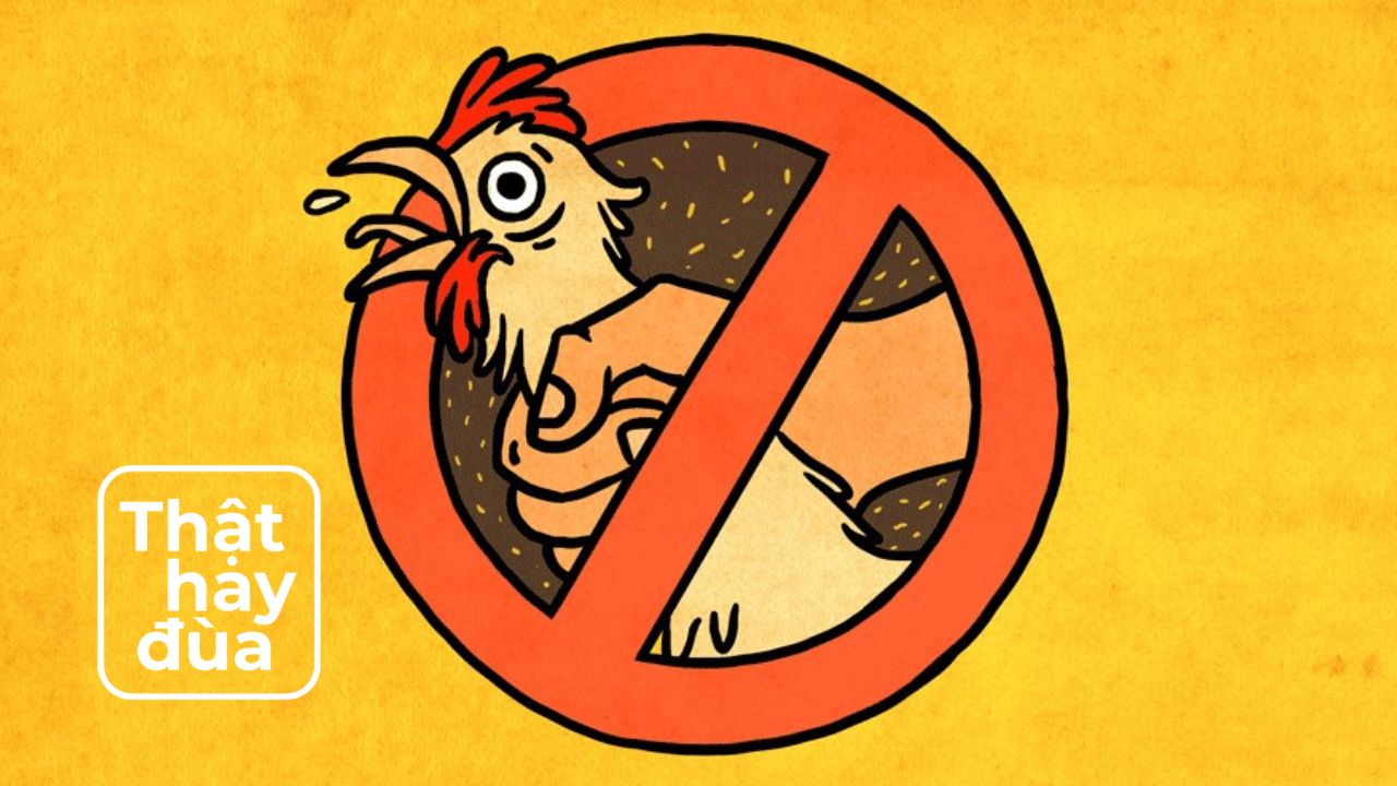 Bạn đã thử “No Nut November” – “NNN” chưa? Giải mã trào lưu “chay tịnh” độc lạ của tháng 11