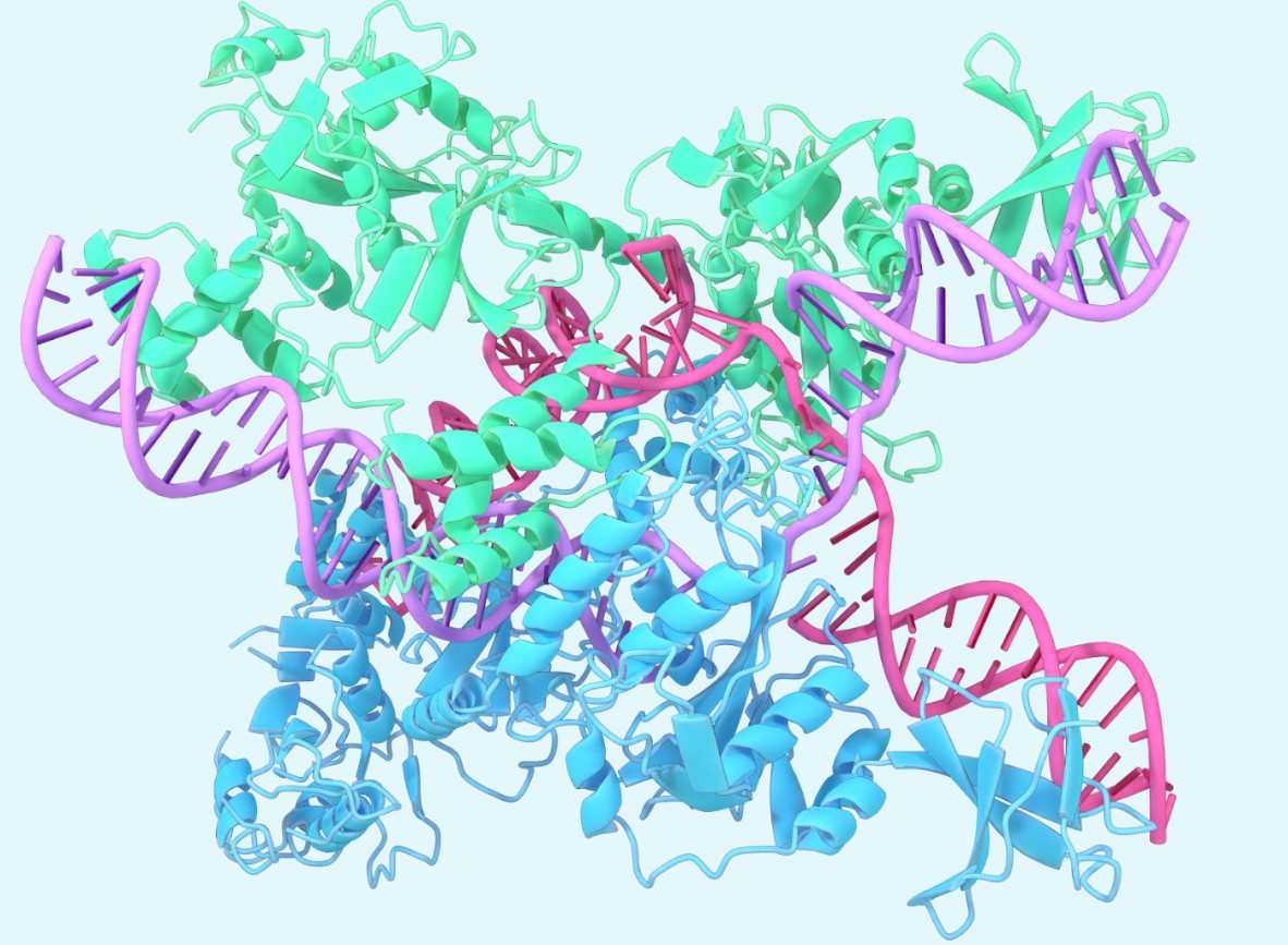 Nhìn lại những thành tựu sinh học nổi bật năm 2024