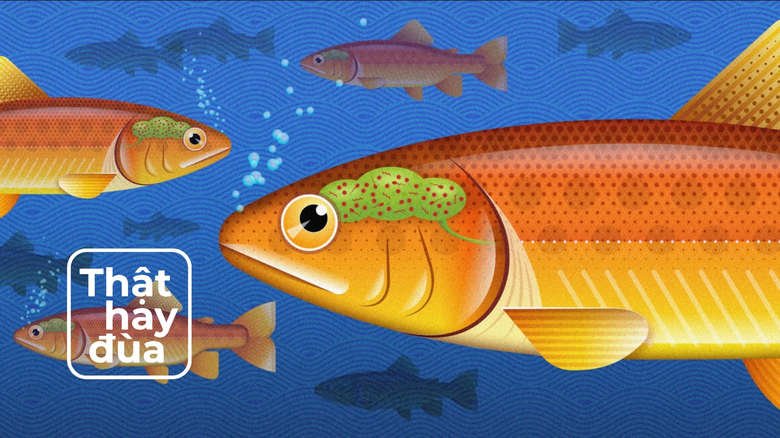 Cá có hệ vi sinh trong não. Con người có không?