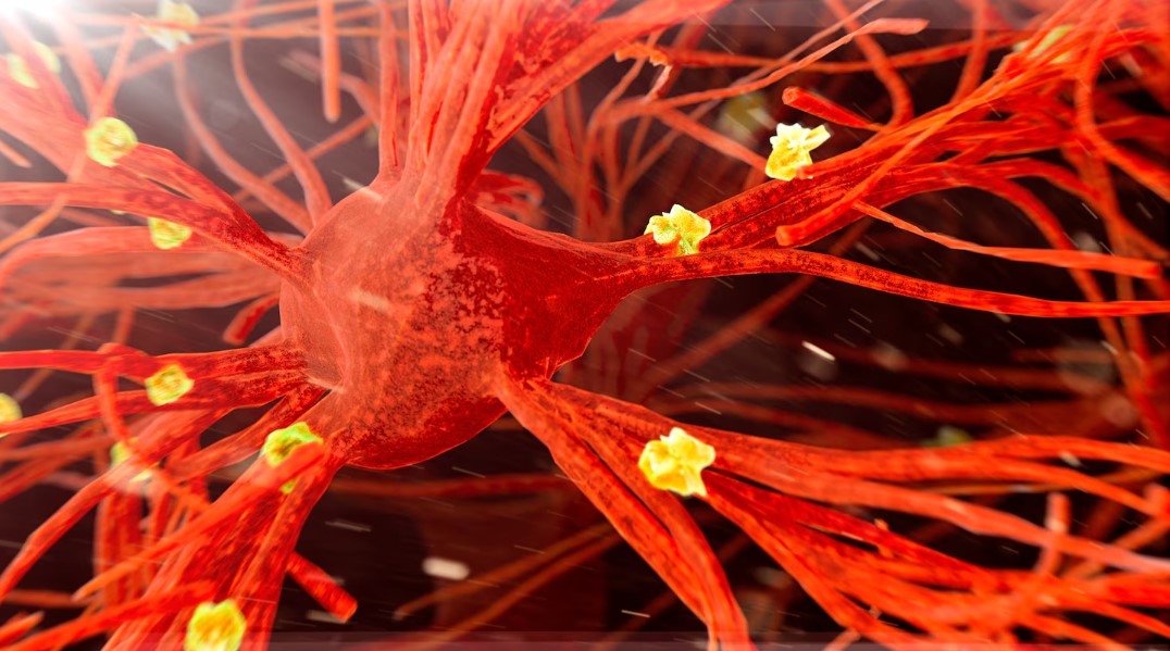 7 đột phá y học đầy triển vọng trong năm 2024