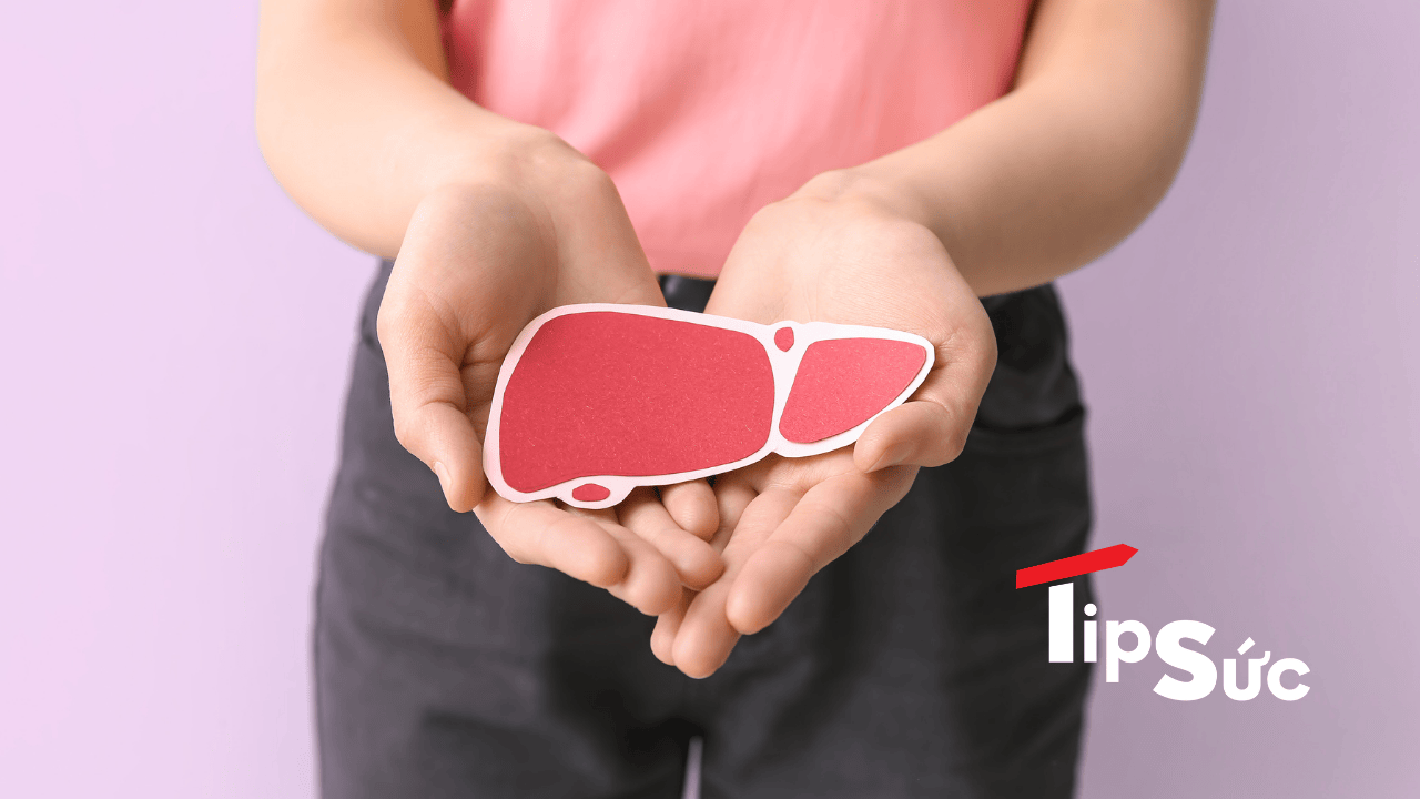 Tổng quan về cách giảm mỡ máu và gan nhiễm mỡ