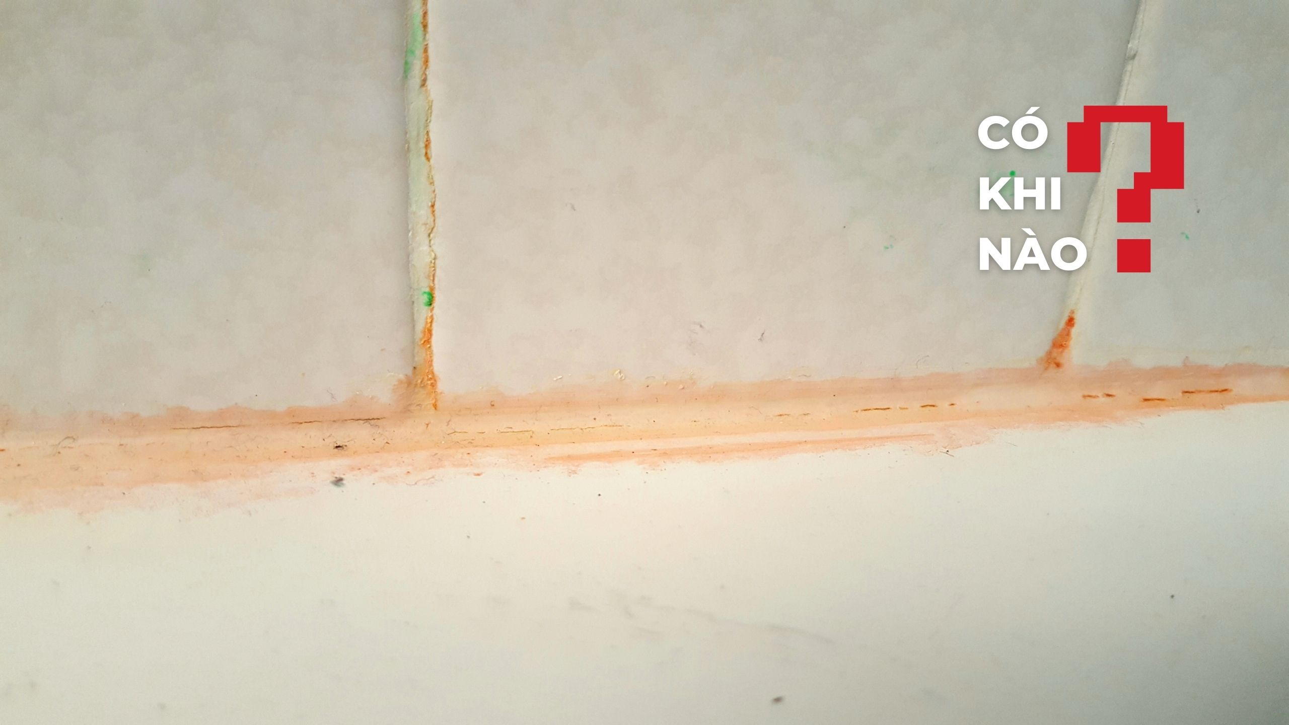 Nguy hiểm tiềm ẩn từ những mảng bám màu hồng ‘nhầy nhụa’ trong nhà tắm