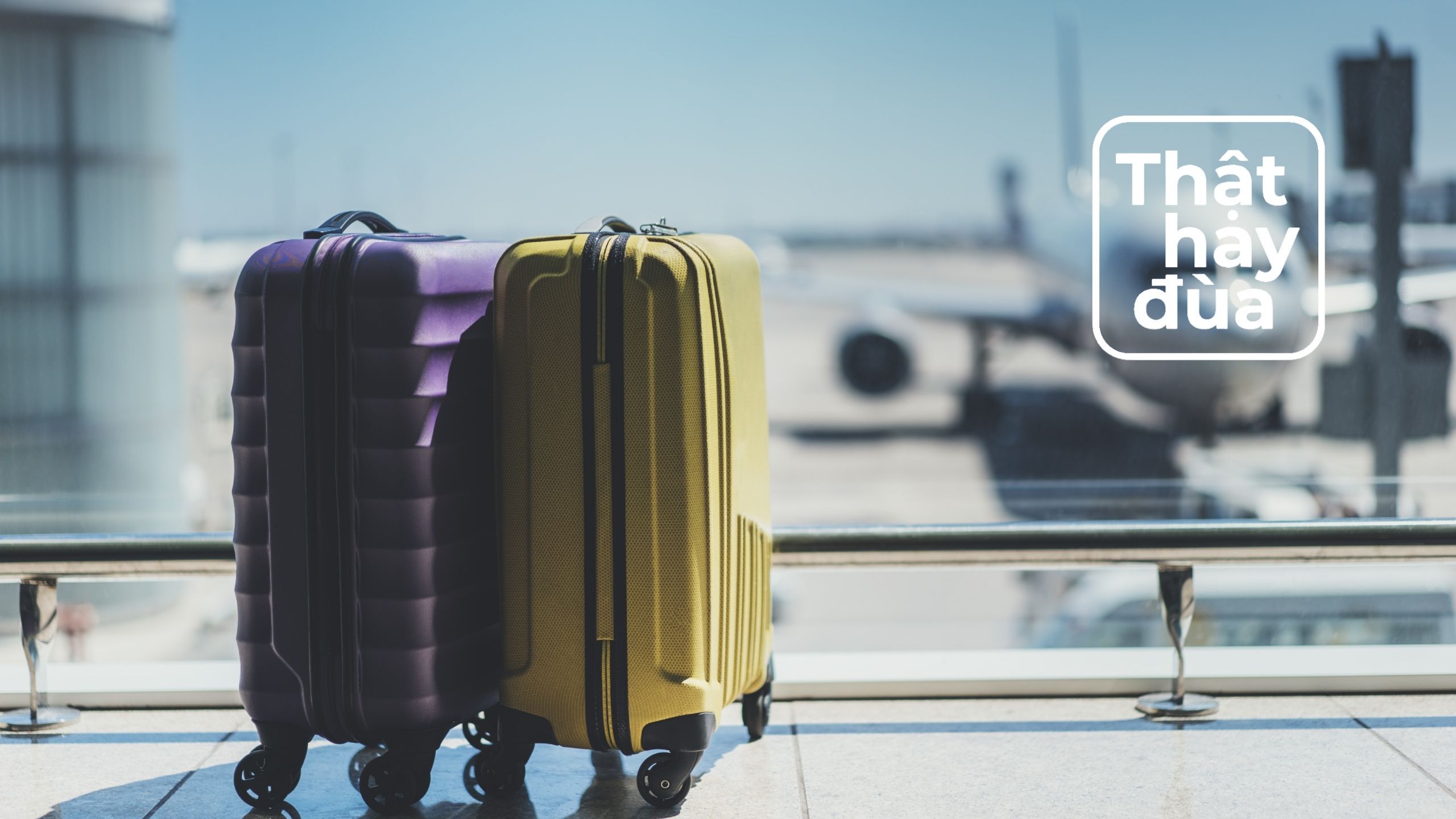 Khỏe mạnh nhưng suýt mất mạng vì ngồi quá lâu trên chuyến bay dài