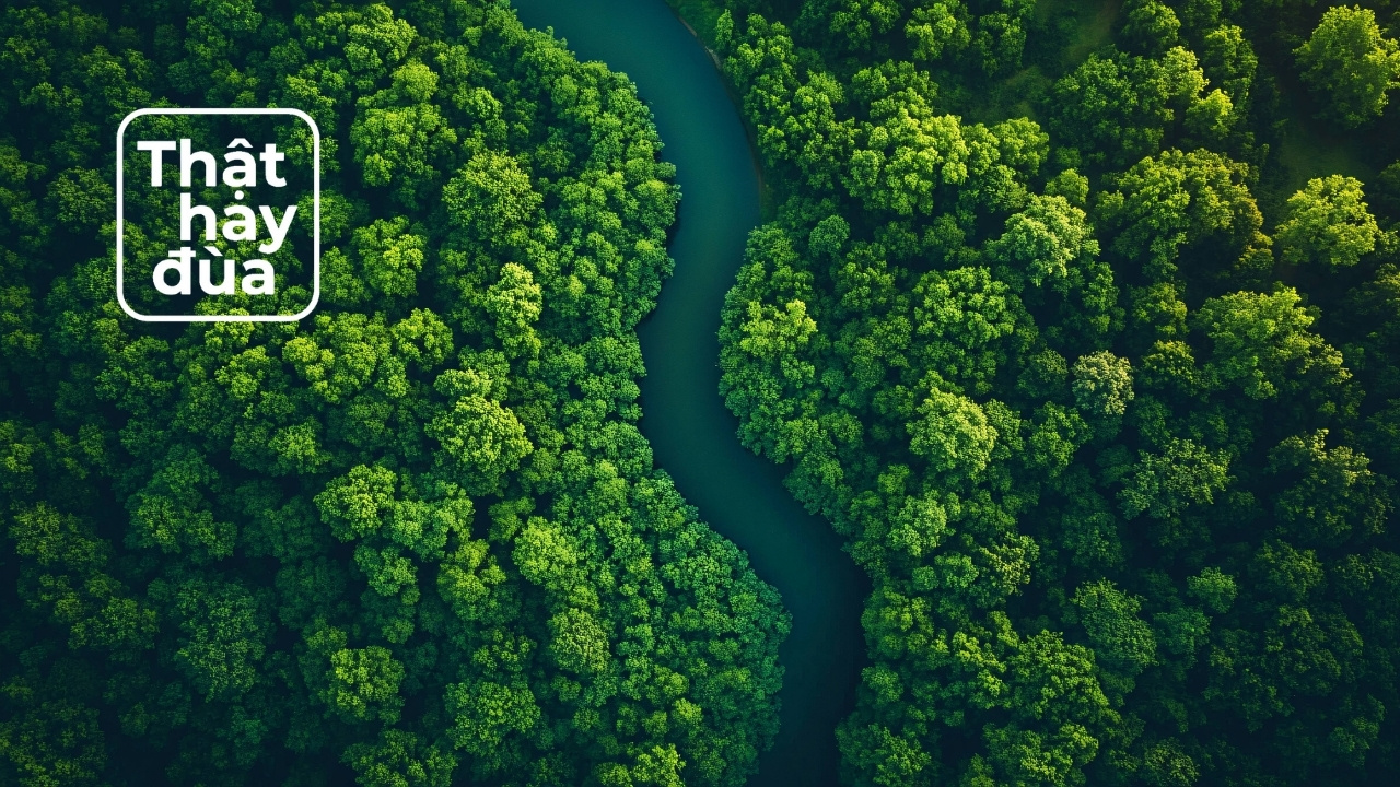 Ngắm nhìn hình ảnh từ thiên nhiên có thể giúp giảm đau