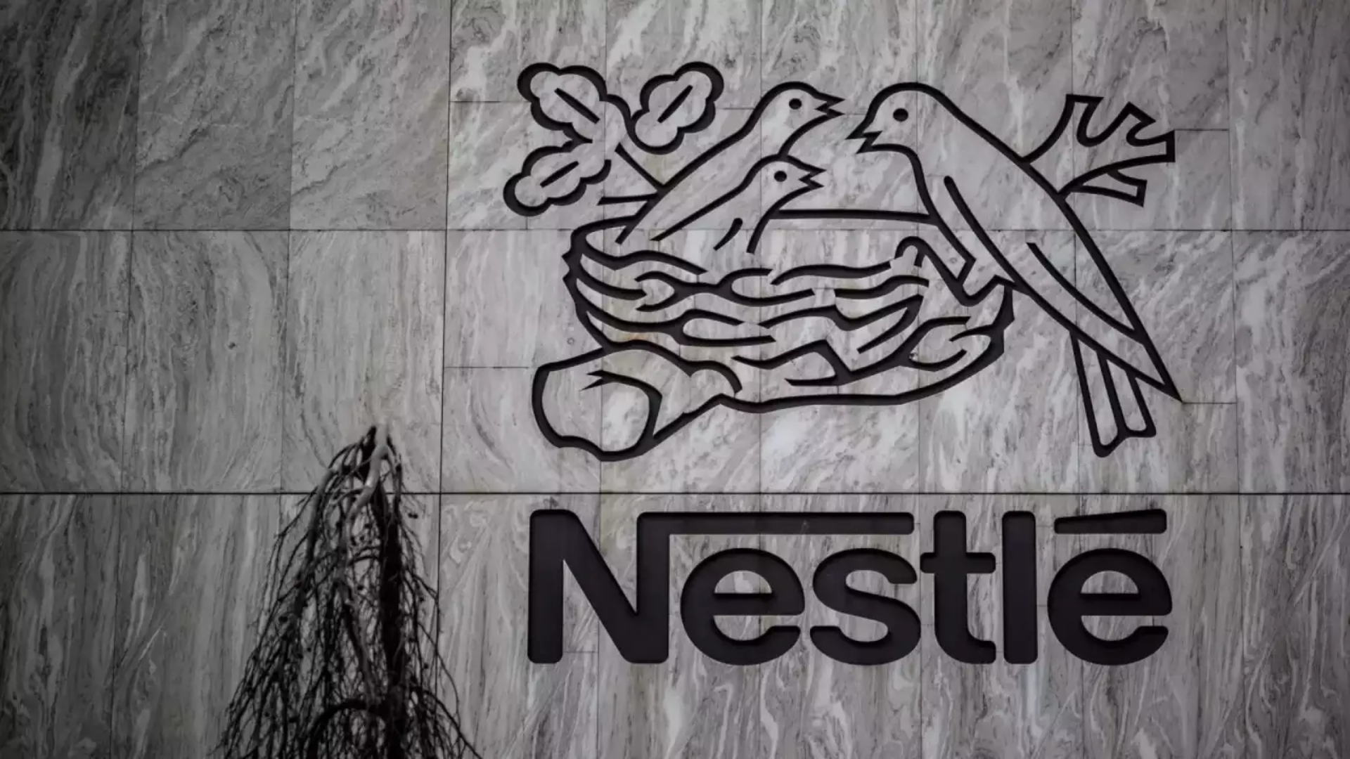 Chuyển động doanh nghiệp 28/03/2025: Nestlé đóng cửa hai nhà máy sản xuất tại Đức do chi phí tăng cao