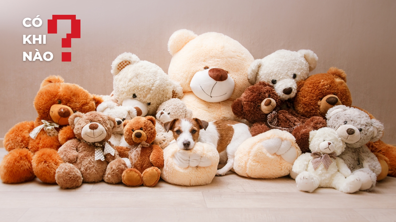 Bình thường hóa việc người lớn ôm gấu bông đi ngủ