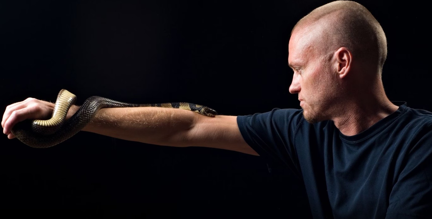 Người đàn ông tự tiêm nọc rắn vào cơ thể 856 lần để tìm kiếm kháng thể