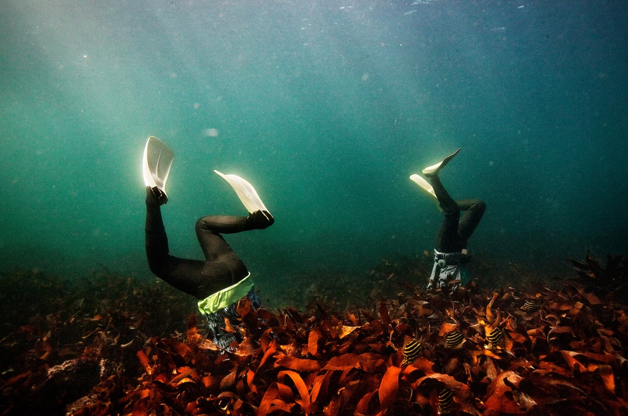 Haenyeo – Những người phụ nữ tiến hóa để lặn biển